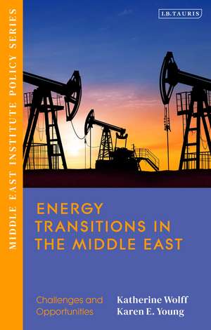 Energy Transitions in the Middle East: Challenges and Opportunities de Katherine Wolff