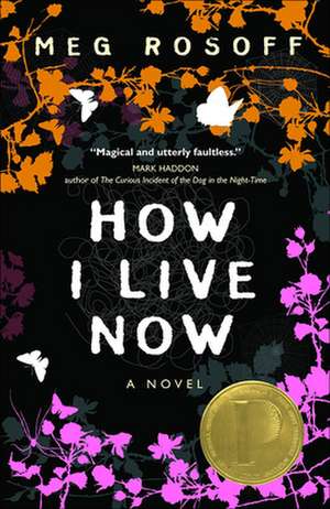 How I Live Now: The Boy Who Loved Books de Meg Rosoff