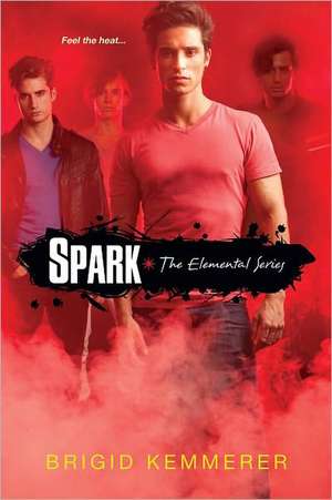 Spark de Brigid Kemmerer