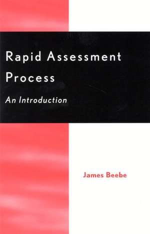 Rapid Assessment Process de James Beebe