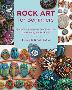 Rock Art for Beginners de F. Sehnaz Bac