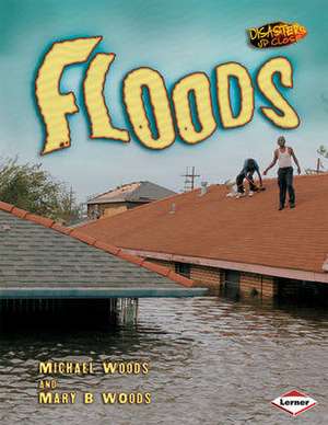 Floods de Michael Woods