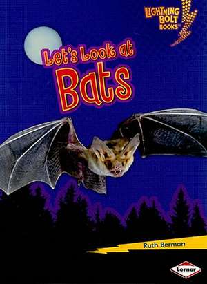 Let's Look at Bats de Ruth Berman