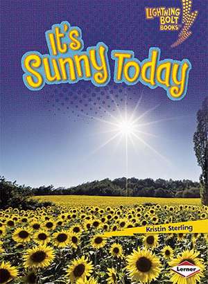 It's Sunny Today de Kristin Sterling