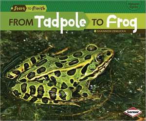 From Tadpole to Frog de Shannon Zemlicka