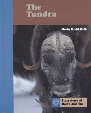 The Tundra de Maria Mudd-Ruth