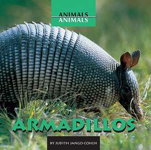 Armadillos de Judith Jango-Cohen