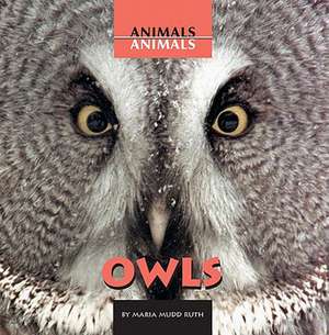 Owls de Maria Mudd-Ruth