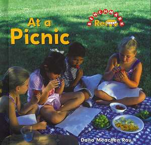 At a Picnic de Dana Meachen Rau