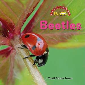 Beetles de Trudi Strain Trueit