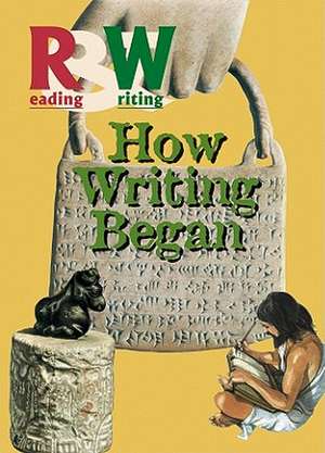 How Writing Began de Renzo Rossi