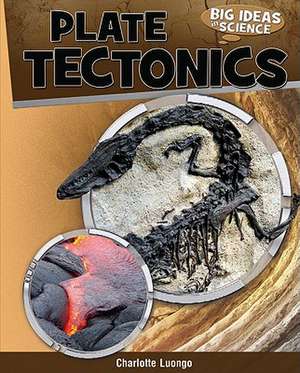 Plate Tectonics de Charlotte Luongo