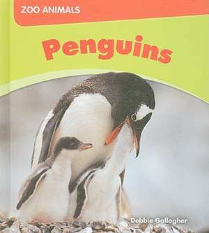 Penguins de Debbie Gallagher