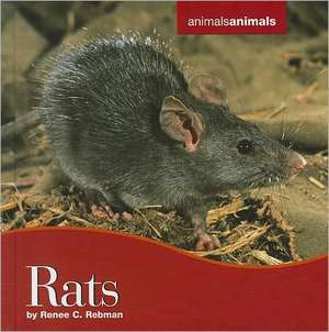 Rats de Renee C. Rebman