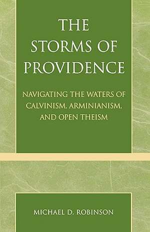 The Storms of Providence de Michael D. Robinson