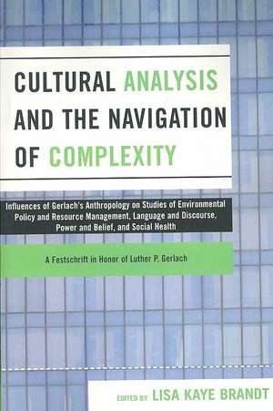 Cultural Analysis and the Navigation of Complexity