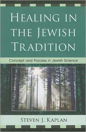 Healing in the Jewish Tradition de Steven J. Kaplan