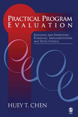 Practical Program Evaluation: Assessing and Improving Planning, Implementation, and Effectiveness de Huey T. (Tsyh) Chen