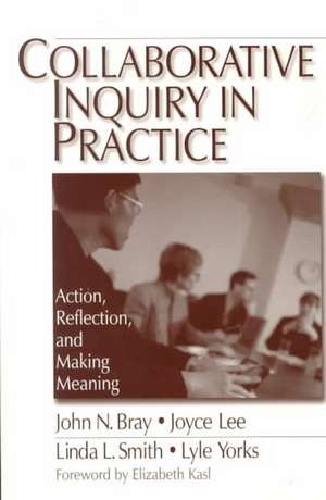 Collaborative Inquiry in Practice: Action, Reflection, and Making Meaning de John Bray