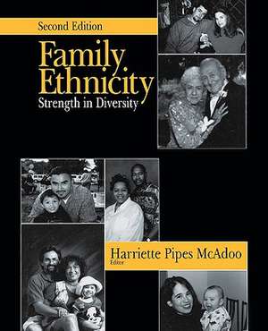 Family Ethnicity: Strength in Diversity de Harriette Pipes McAdoo