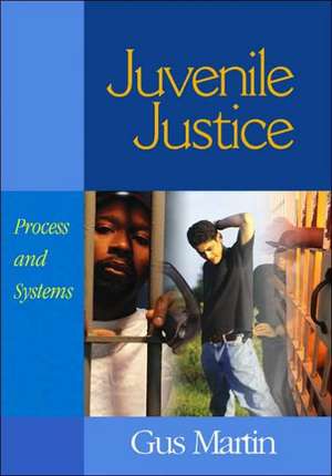 Juvenile Justice de Gus Martin