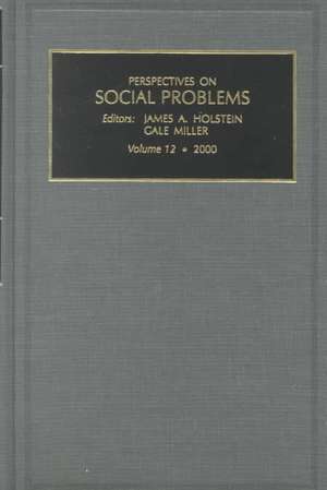 Perspectives on Social Problems de James A. Holstein