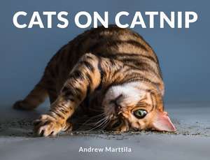 Cats on Catnip de Andrew Marttila