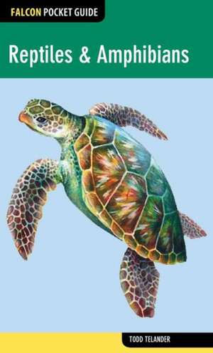 Falcon Pocket Guide de Todd Telander