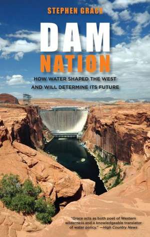 Dam Nation de Stephen Grace