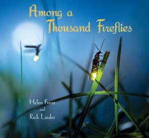 Among a Thousand Fireflies de Helen Frost