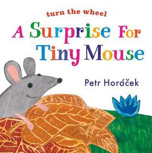 A Surprise for Tiny Mouse de Petr Horacek