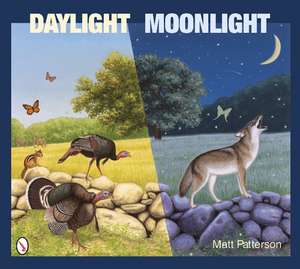 Daylight Moonlight de Matt Patterson