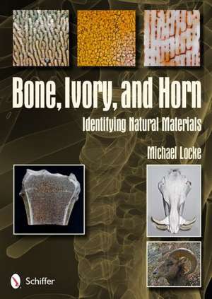 Bone, Ivory, and Horn: Identifying Natural Materials de Michael Locke