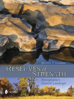 Reserves of Strength: Pennsylvania's Natural Landscape: Pennsylvania's Natural Landscape de Michael P. Gadomski