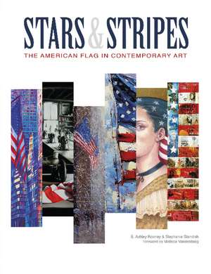 Stars & Stripes: The American Flag in Contemporary Art de E. Ashley Rooney