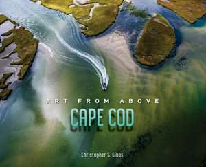 Art from Above Cape Cod de Christopher Gibbs