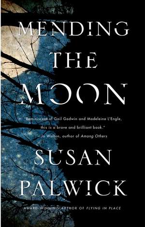 Mending the Moon de Susan Palwick