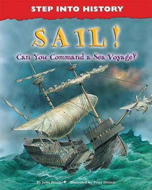 Sail!: Can You Command a Sea Voyage? de Julia Bruce