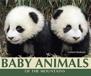 Baby Animals of the Mountains de Carmen Bredeson