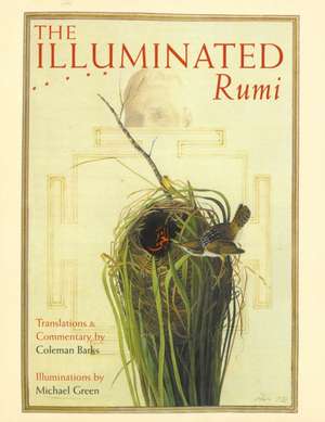 The Illuminated Rumi de Michael Green