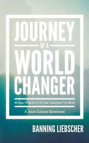 Journey of a World Changer de Banning Liebscher