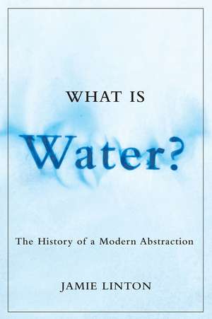 What Is Water?: The History of a Modern Abstraction de Jamie Linton