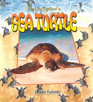 Sea Turtle de Bobbie Kalman