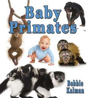 Baby Primates de Bobbie Kalman