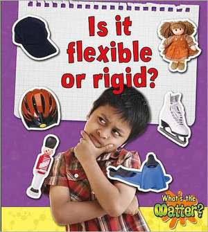 Is It Flexible or Rigid? de Sheila Fletcher