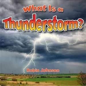 What Is a Thunderstorm? de Robin Johnson