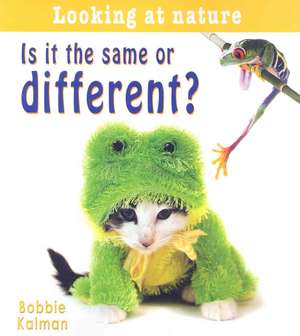 Is It the Same or Different? de Bobbie Kalman