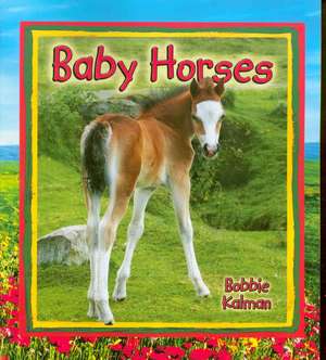 Baby Horses de Bobbie Kalman