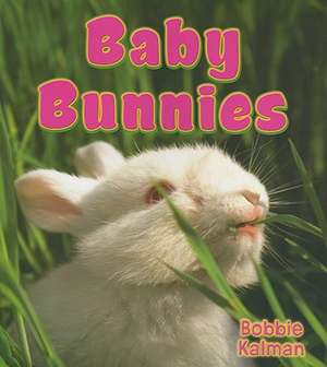 Baby Bunnies de Bobbie Kalman