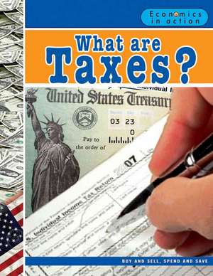 What Are Taxes? de Baron Bedesky